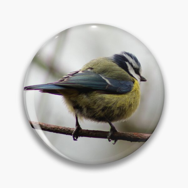 Item preview, Blue tit designed and sold by KathleenDawson.