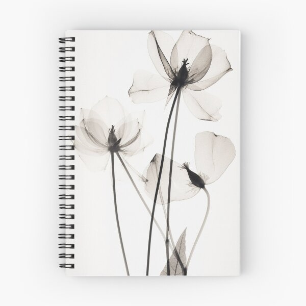 Item preview, Memories #3  designed and sold by Steven  Sandner.
