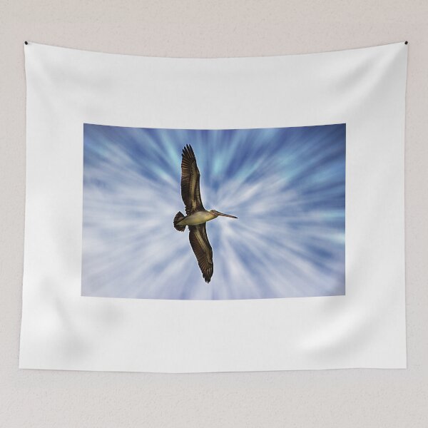 Item preview, Soaring With Ease At Puerto Lopez designed and sold by alabca.