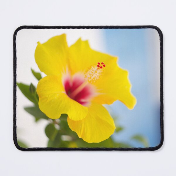 Item preview, Hibiscus Flower designed and sold by Alisonchambers2.