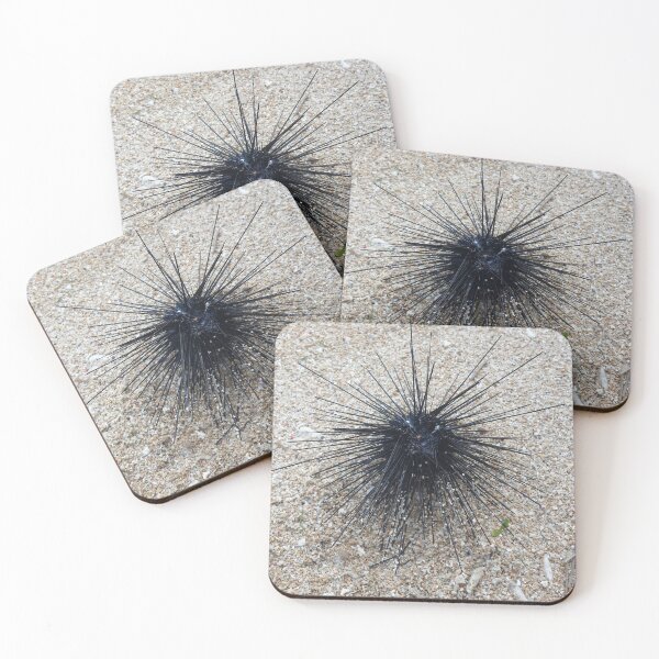 Item preview, Black Diadem sea urchin in close up on sand beach designed and sold by kall3bu.