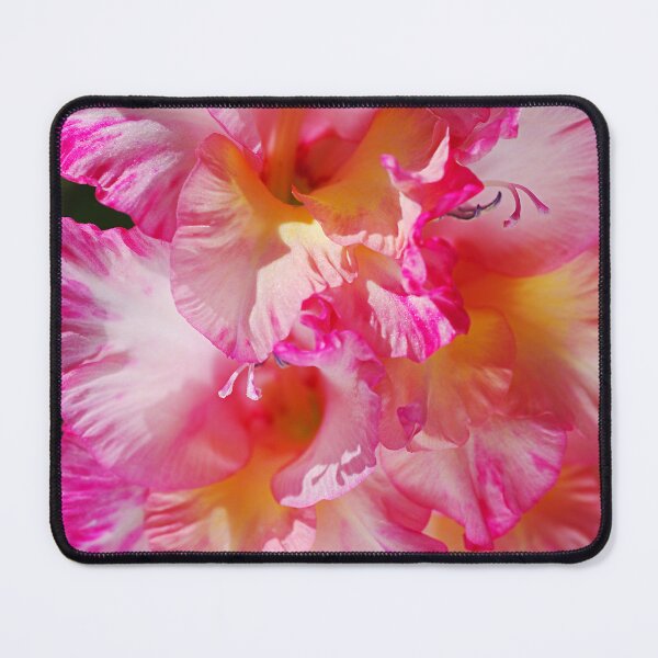 Item preview, The Pink Sword Lily designed and sold by Joy Watson - Natural Light Photography .