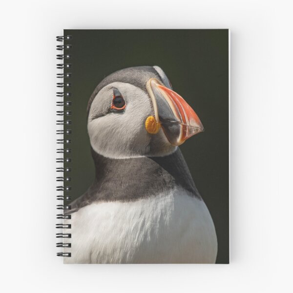 Item preview, Perfect Puffin Pose designed and sold by JoHackman.