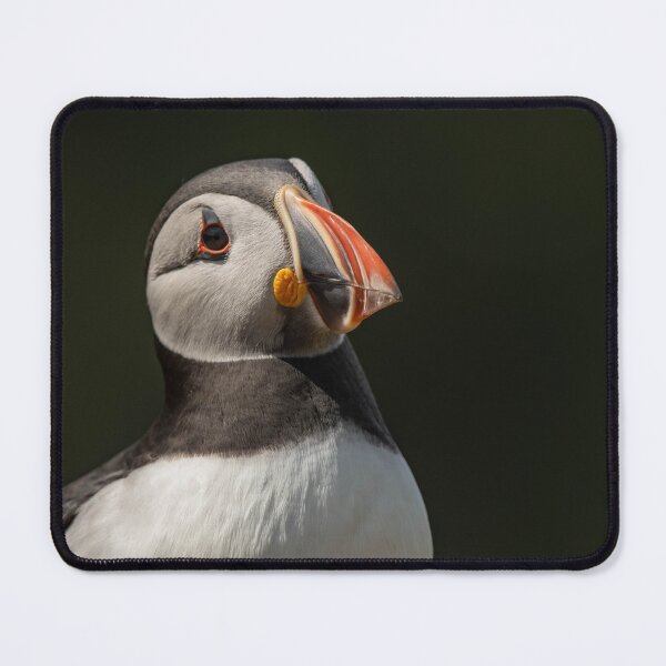 Item preview, Perfect Puffin Pose designed and sold by JoHackman.