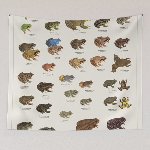 Item preview, Frogs & Toads of Europe designed and sold by DarrylHankins.