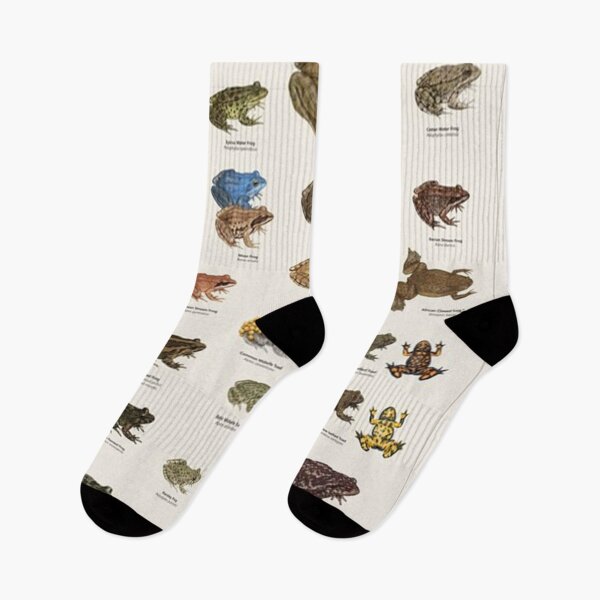 Item preview, Frogs & Toads of Europe designed and sold by DarrylHankins.