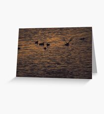 Coming In Greeting Card