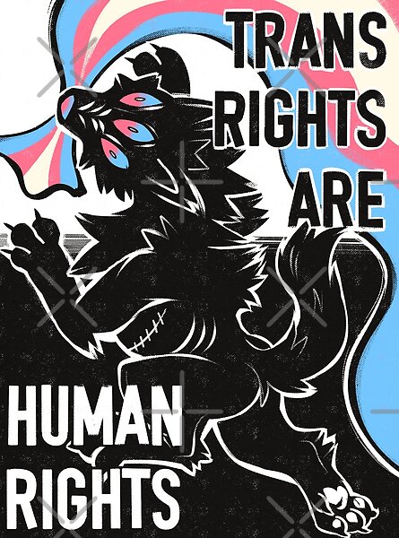 TRANS RECHTE SIND MENSCHENRECHTE von SceptiX | Redbubble