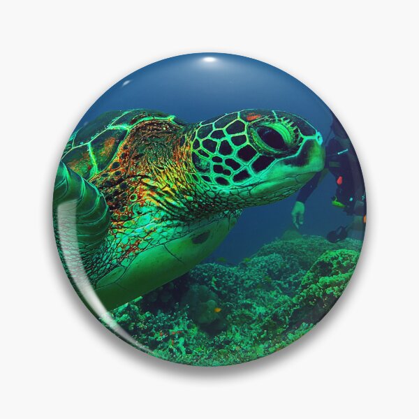 Item preview, Green Sea Turtle, Dauin, Negros Oriental, Philippines designed and sold by likbatonboot.