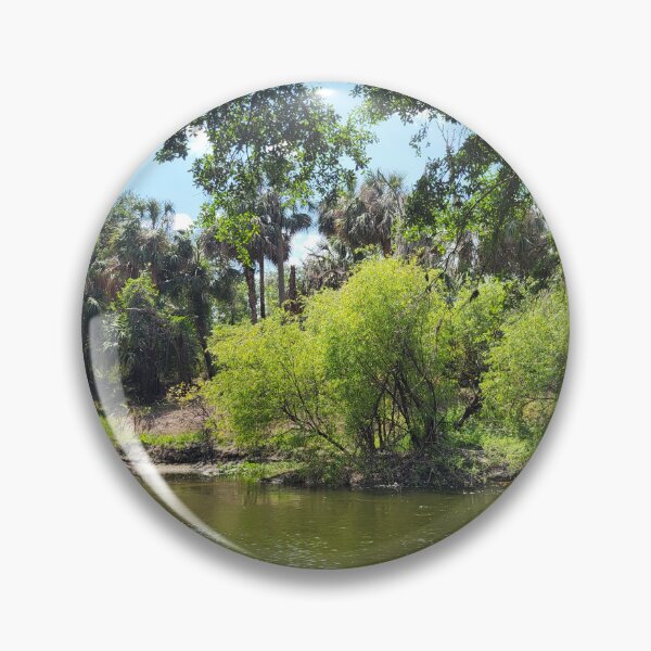 Item preview, Florida landscape designed and sold by reformedfruit.