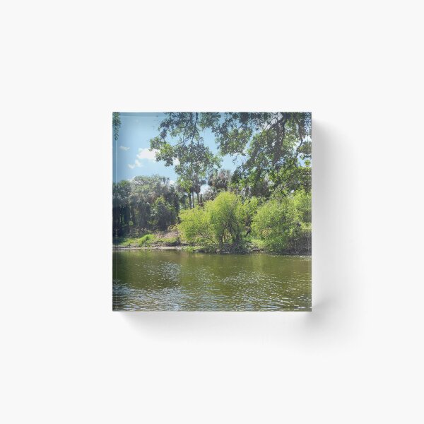 Item preview, Florida landscape designed and sold by reformedfruit.