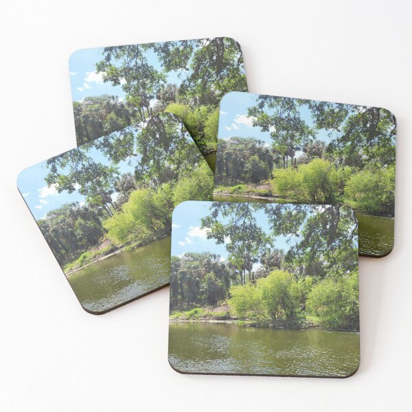 Item preview, Florida landscape designed and sold by reformedfruit.