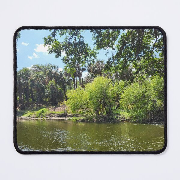 Item preview, Florida landscape designed and sold by reformedfruit.