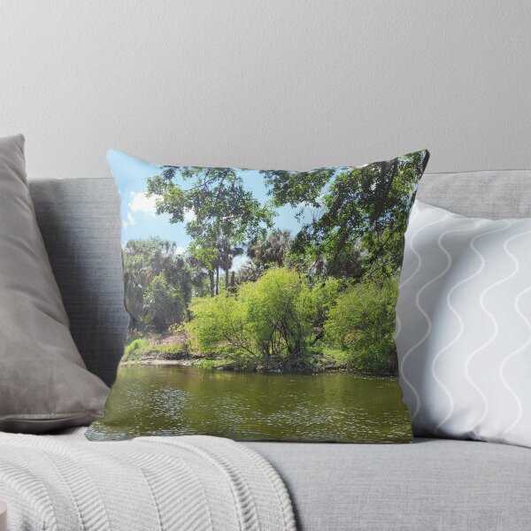 Item preview, Florida landscape designed and sold by reformedfruit.
