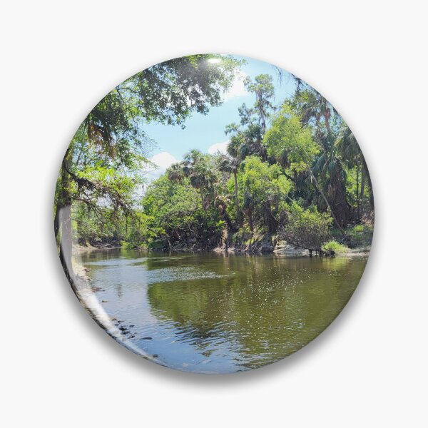 Item preview, Florida landscape designed and sold by reformedfruit.