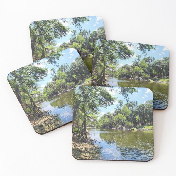 Item preview, Florida landscape designed and sold by reformedfruit.