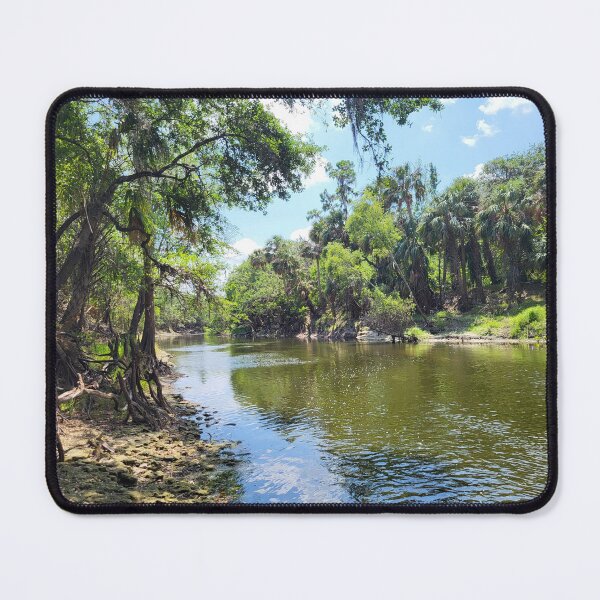 Item preview, Florida landscape designed and sold by reformedfruit.