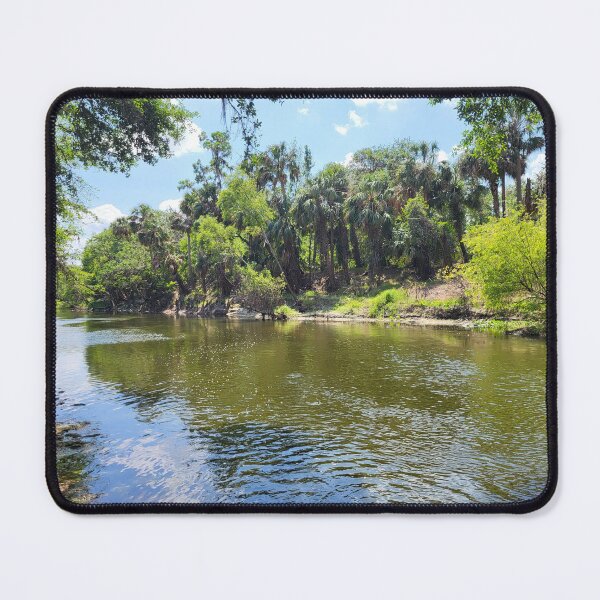 Item preview, Florida landscape designed and sold by reformedfruit.