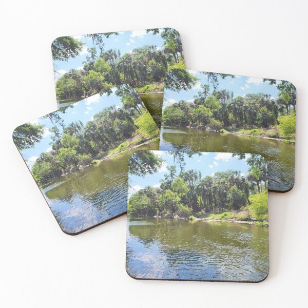 Item preview, Florida landscape designed and sold by reformedfruit.