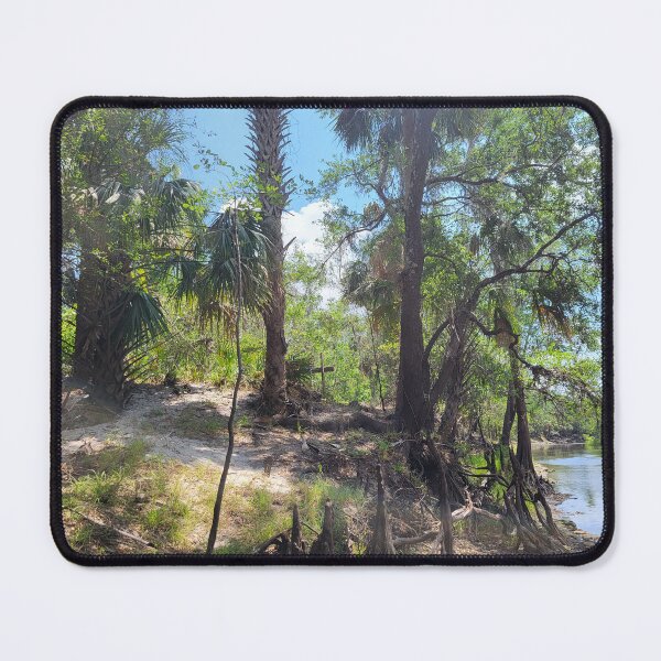 Item preview, Florida Landscape designed and sold by reformedfruit.
