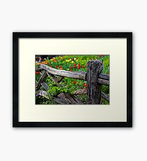 Central Park Shakespeare Garden New York City NY Wooden Fence Framed Print