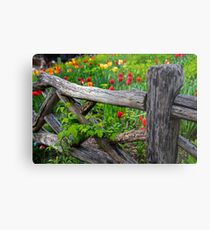 Central Park Shakespeare Garden New York City NY Wooden Fence Metal Print