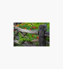 Central Park Shakespeare Garden New York City NY Wooden Fence Art Board