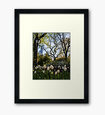 Springtime Tulips in Central Park New York City Framed Print