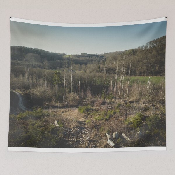 Item preview, Drone Photography - Cleared Forest with a Winding Hiking Trail designed and sold by TRex-Landscapes.