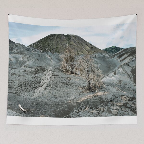 Item preview, Arid landscape surrounding the active volcano on Mount Bromo, Tengger Semeru, East Java, Indonesia designed and sold by WhimsyCanvasPrints.