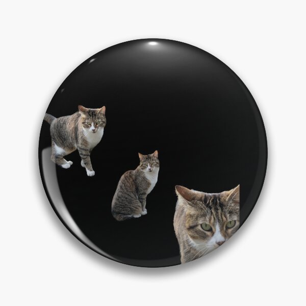 Item preview, 3 tabby cat with black background designed and sold by Binas-gallery.