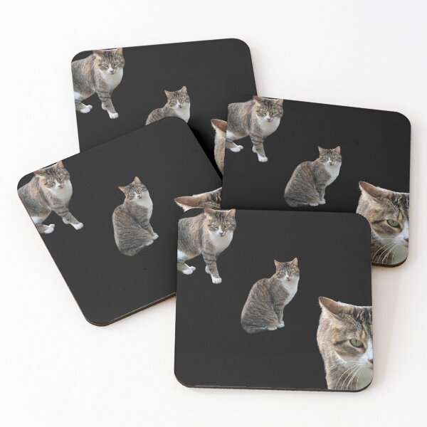 Item preview, 3 tabby cat with black background designed and sold by Binas-gallery.