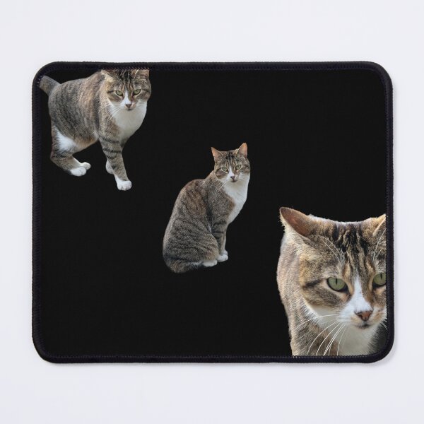 Item preview, 3 tabby cat with black background designed and sold by Binas-gallery.