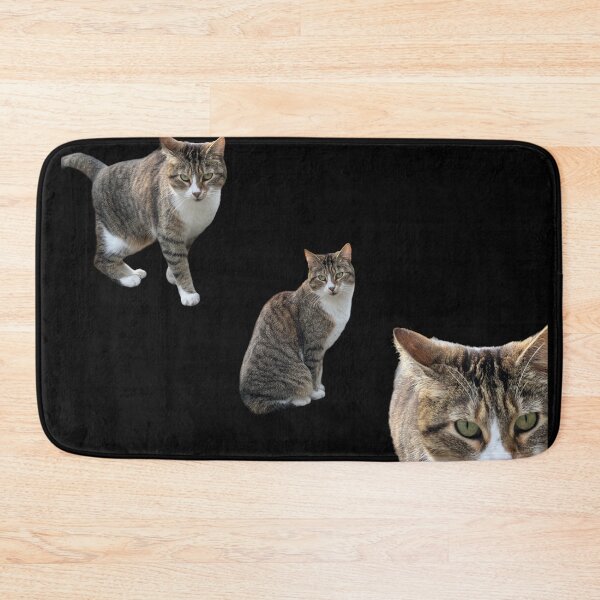 Item preview, 3 tabby cat with black background designed and sold by Binas-gallery.