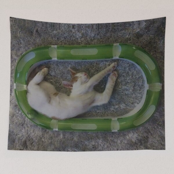 Item preview, #279 |☼| Marley's Twisty Torpor After Playtime (Cats) designed and sold by Naean H.F. (Nez Man).