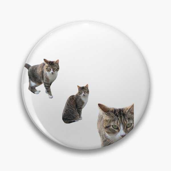 Item preview, 3 tabby cat with white background designed and sold by Binas-gallery.