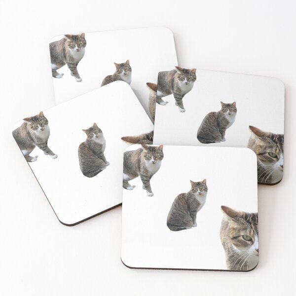 Item preview, 3 tabby cat with white background designed and sold by Binas-gallery.