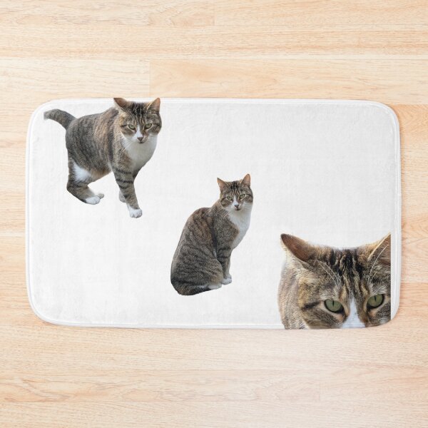 Item preview, 3 tabby cat with white background designed and sold by Binas-gallery.