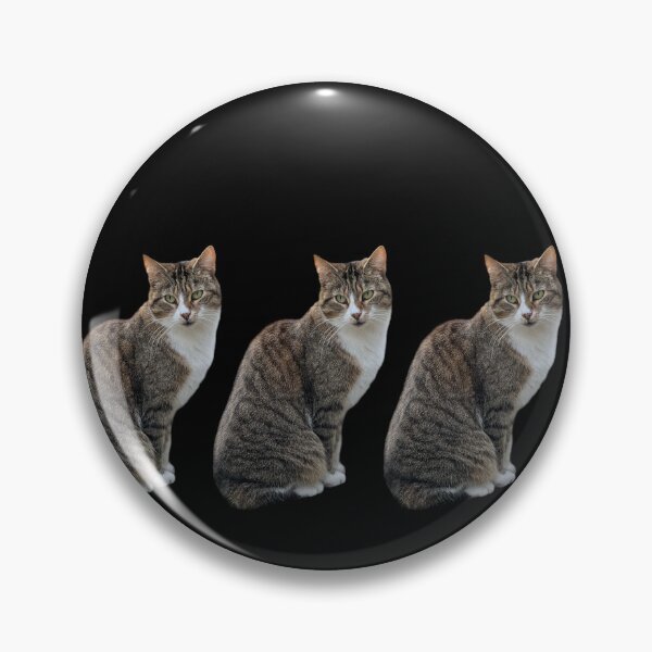 Item preview, tabby 3 times side by side with black background designed and sold by Binas-gallery.