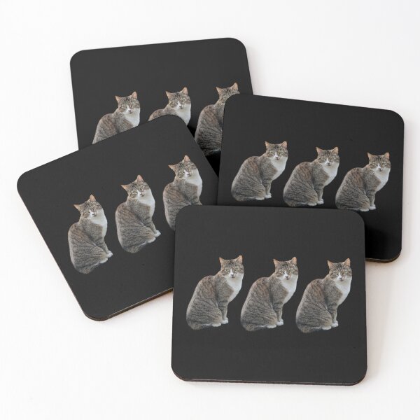 Item preview, tabby 3 times side by side with black background designed and sold by Binas-gallery.