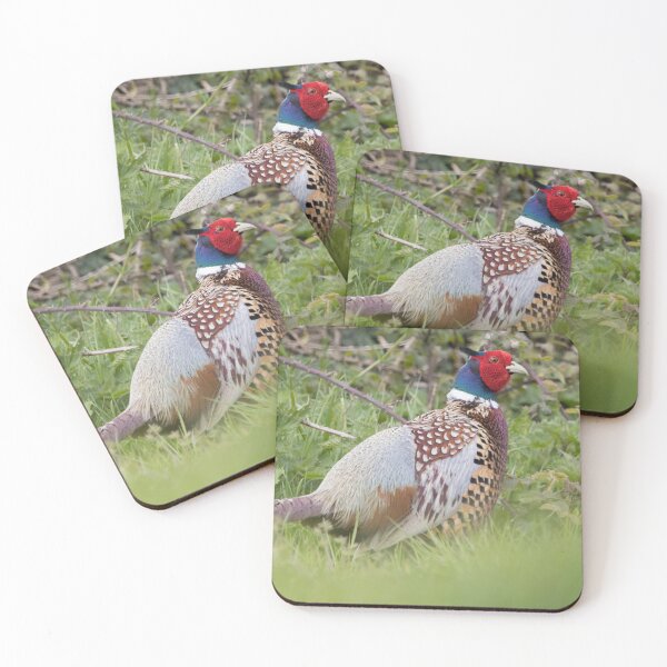 Item preview, Pheasant designed and sold by LaurenTucker.