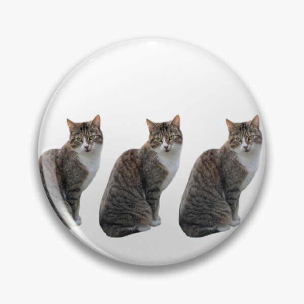 Item preview, tabby cat 3 times side by side with white background designed and sold by Binas-gallery.