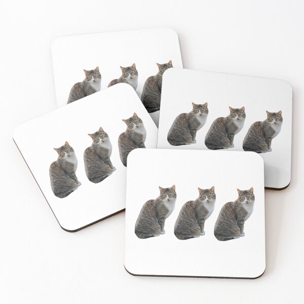 Item preview, tabby cat 3 times side by side with white background designed and sold by Binas-gallery.