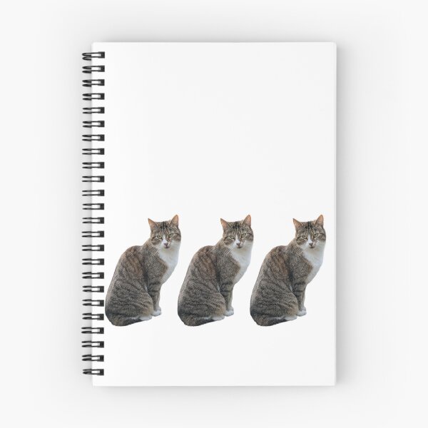 Item preview, tabby cat 3 times side by side with white background designed and sold by Binas-gallery.