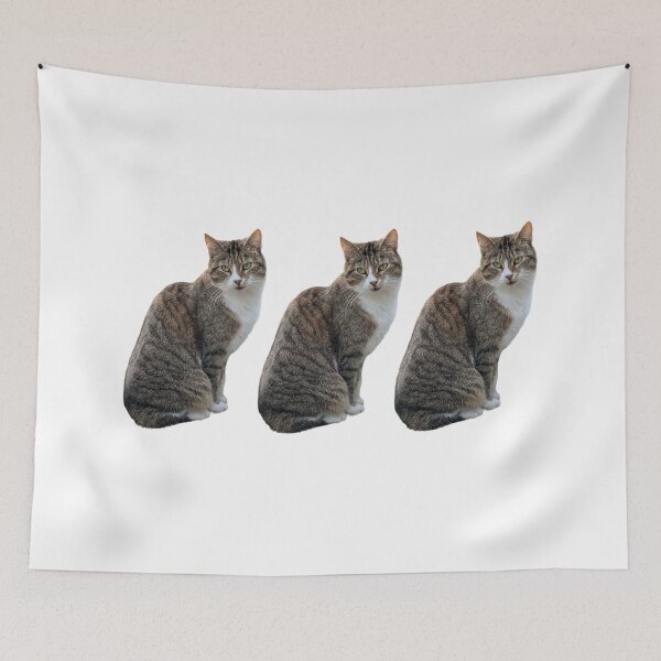 Item preview, tabby cat 3 times side by side with white background designed and sold by Binas-gallery.