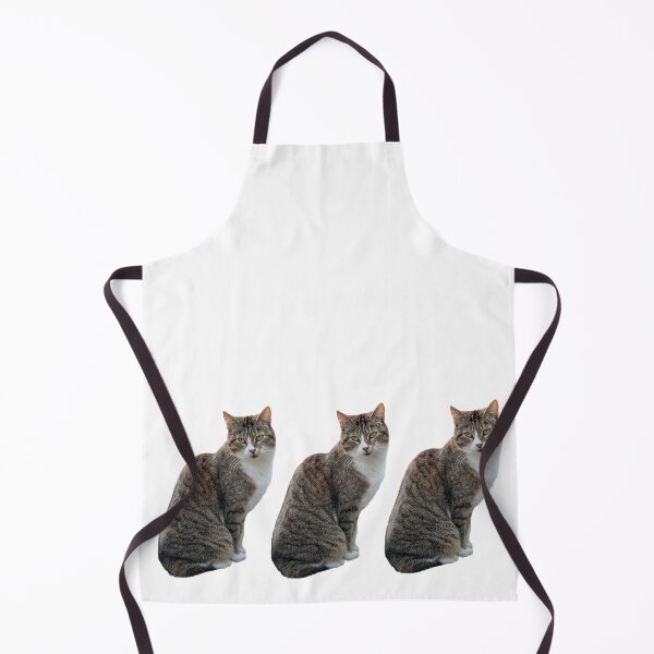 Item preview, tabby cat 3 times side by side with white background designed and sold by Binas-gallery.