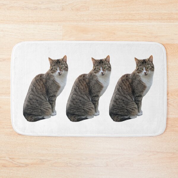 Item preview, tabby cat 3 times side by side with white background designed and sold by Binas-gallery.