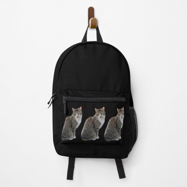 Item preview, tabby 3 times side by side with black background designed and sold by Binas-gallery.