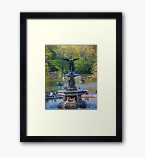 Central Park Water Fountain New York NY Framed Print