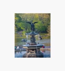 Central Park Water Fountain New York NY Art Board